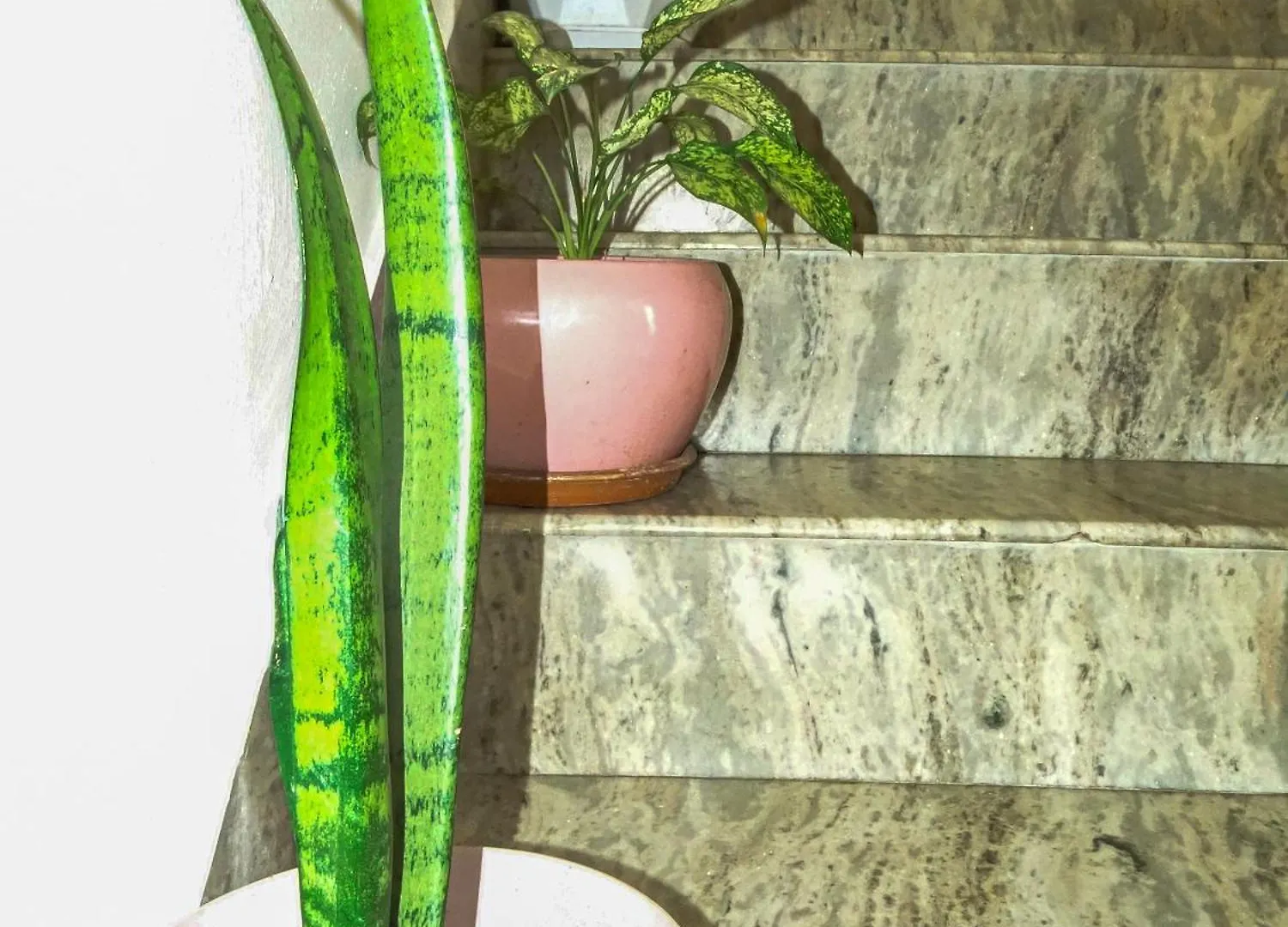 Διαμέρισμα Raniban Lila'S Homestays Κατμαντού