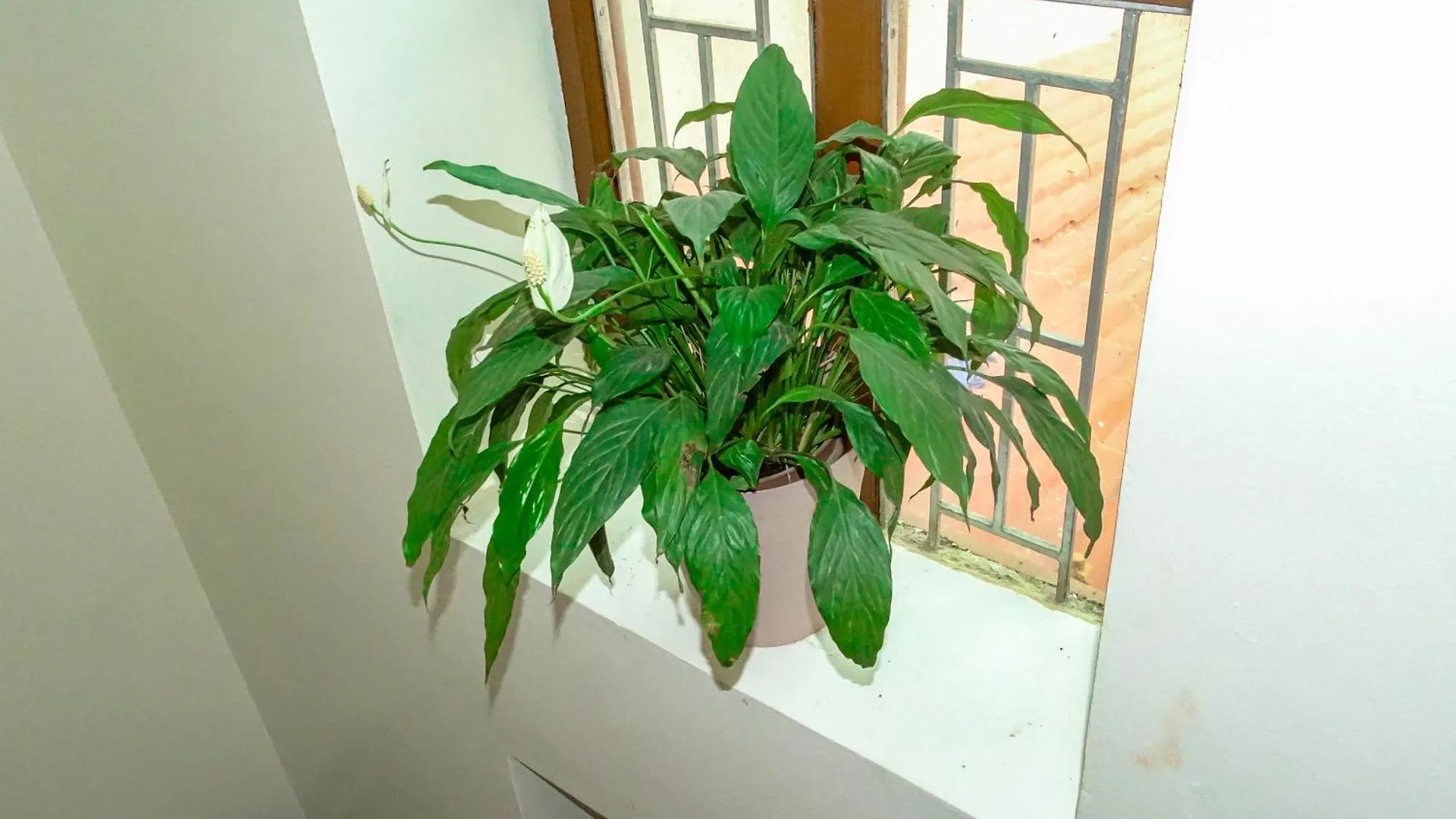 Appartement Raniban Lila'S Homestays Kathmandu